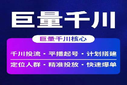 SEM搜索引擎优化案例：如何提升网站流量和转化率